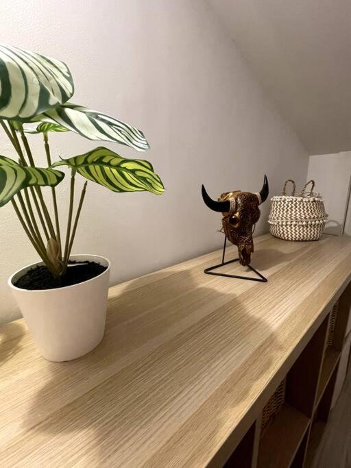 Magnifique Duplex Avec Terrasse Proche De La Plage マラガ エクステリア 写真